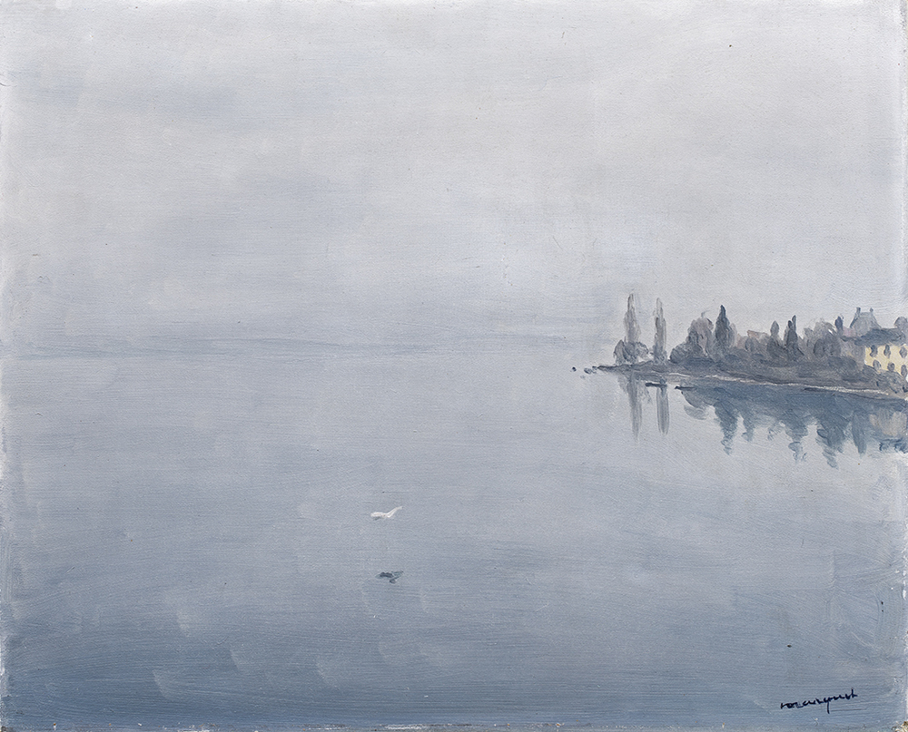 Brouillard sur le Lac Léman